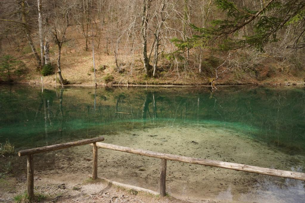 Pension Schwarzenbach Bad Reichenhall Bagian luar foto